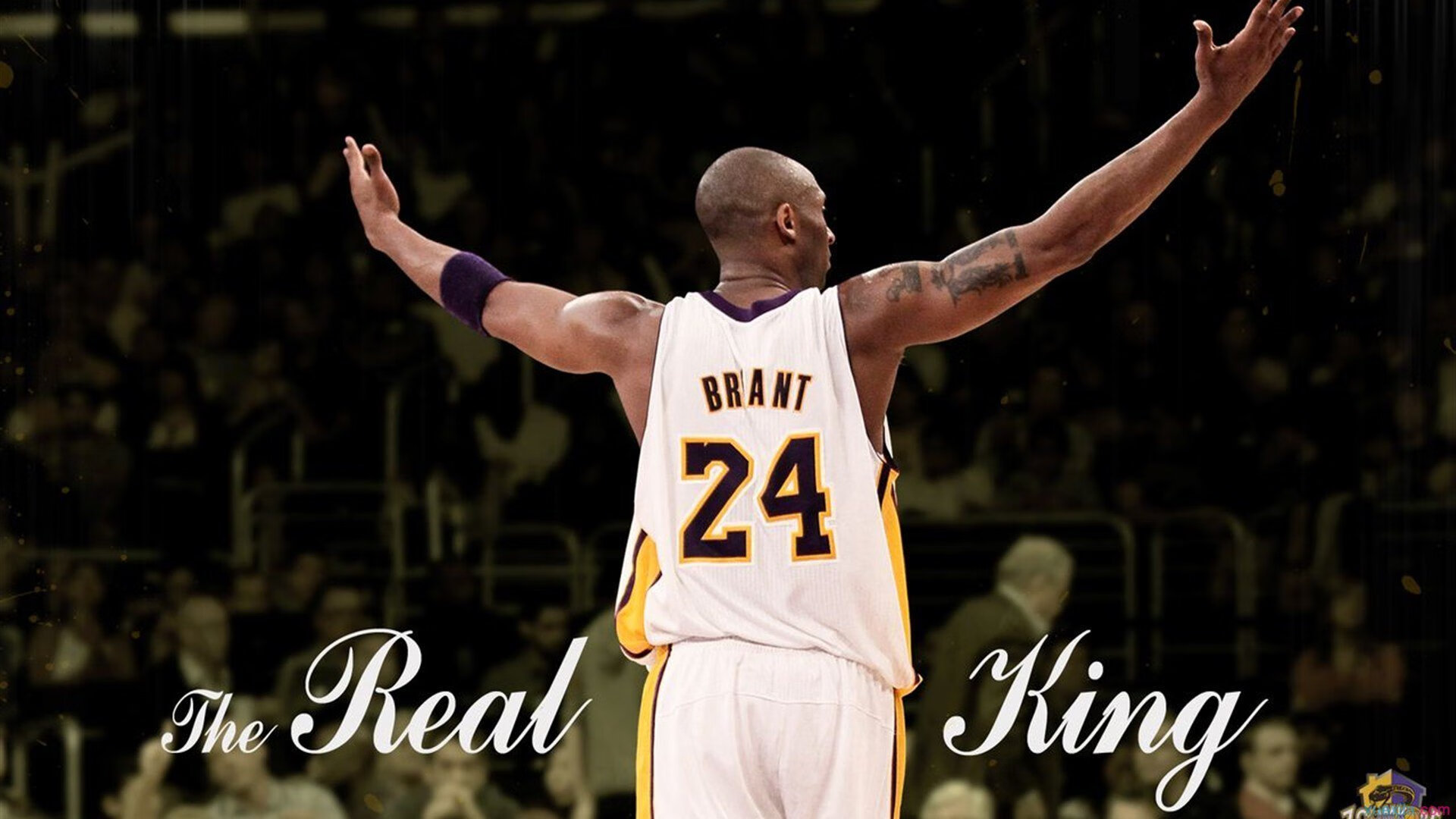 巴特勒2023季后赛关键球合集