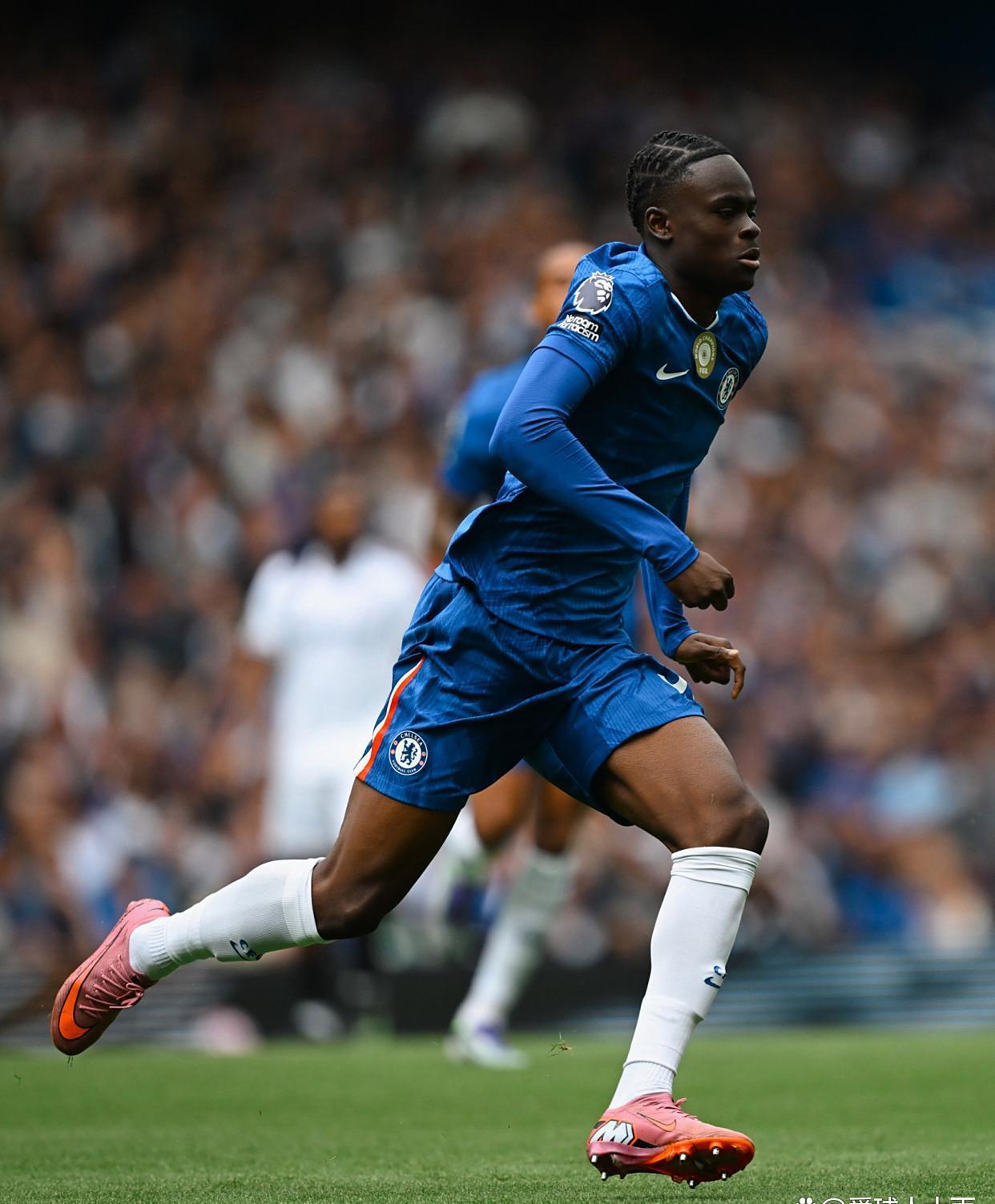 英超切尔西引援最新动态