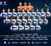 欧洲杯冰岛队战绩