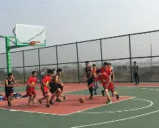 锦标赛圆满落幕,球员共庆胜利的句子