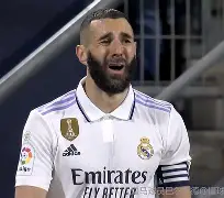 抗战之红色战将林风