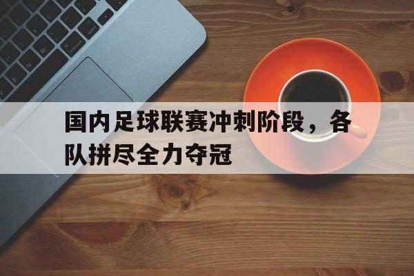 博彩平台排名-国内足球联赛冲刺阶段,各队拼尽全力夺冠