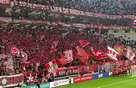 博彩虎专业博彩评级-足球世界运动