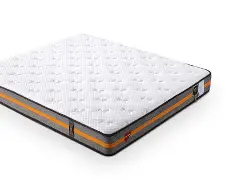 博彩平台排名-佛罗伦萨聚集多少杰出人才