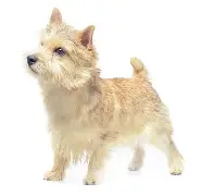 博彩平台排名-冯宝成真实身份大揭秘