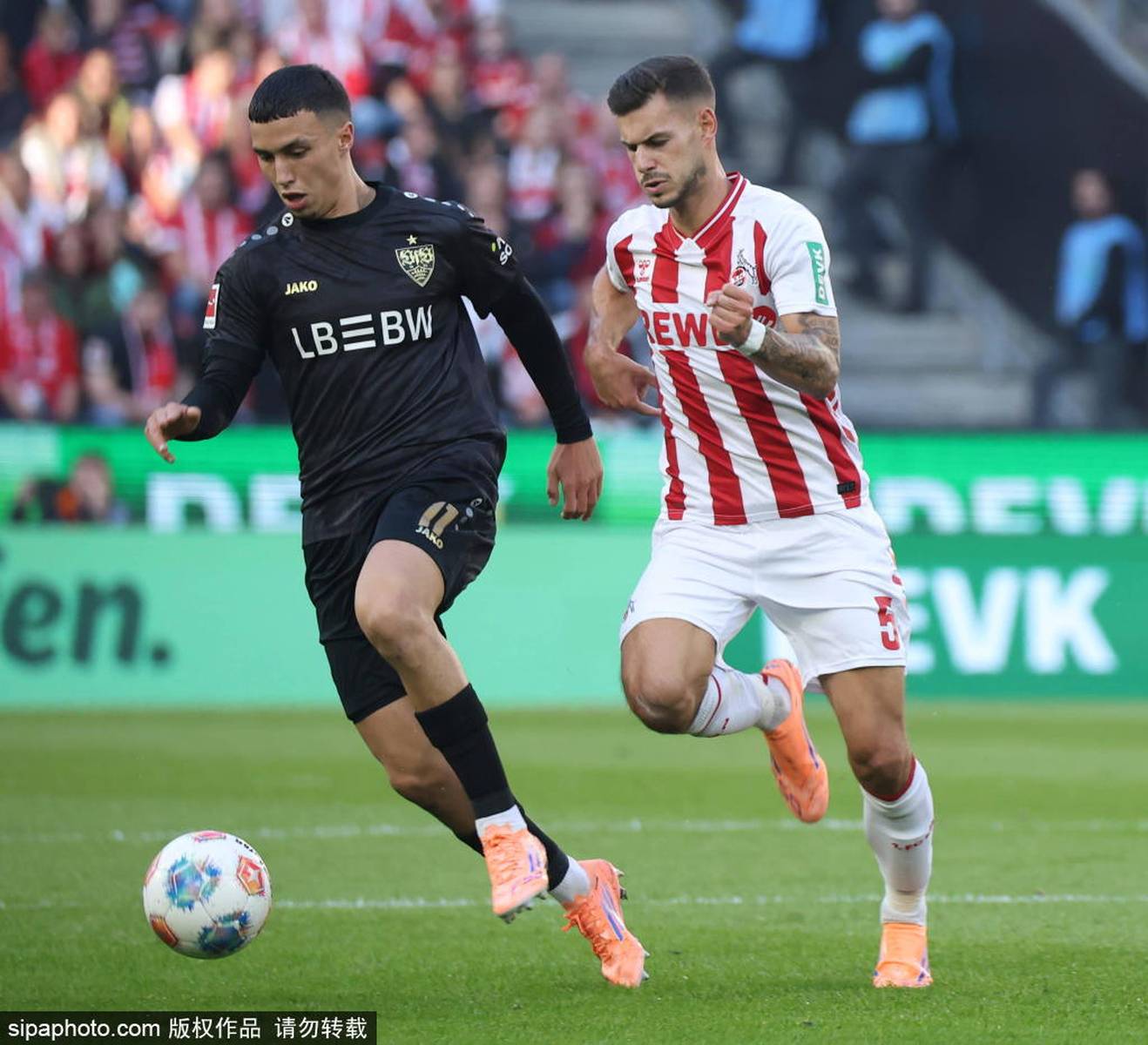 博彩平台排名-斯图加特足球俱乐部阵容