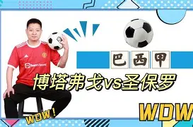 博彩-里昂的阵容