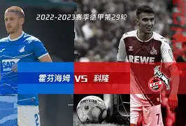 博彩虎专业博彩评级-霍芬海姆vs比勒
