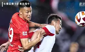 奥格斯堡vs多特蒙德