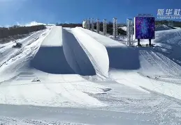智利国家足球队
