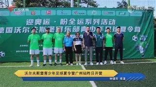 沃尔夫斯堡29号
